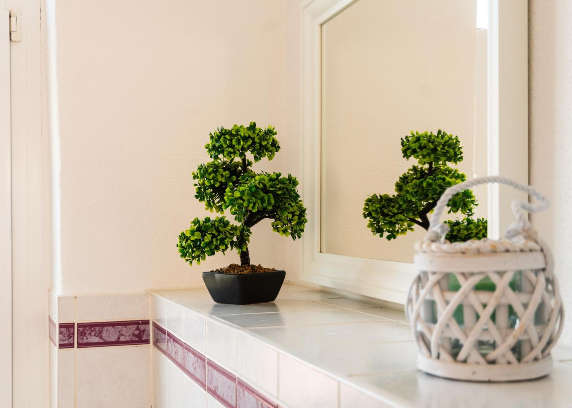 Apartmenthaus Rankestrasse 4 Δρέσδη Εξωτερικό φωτογραφία