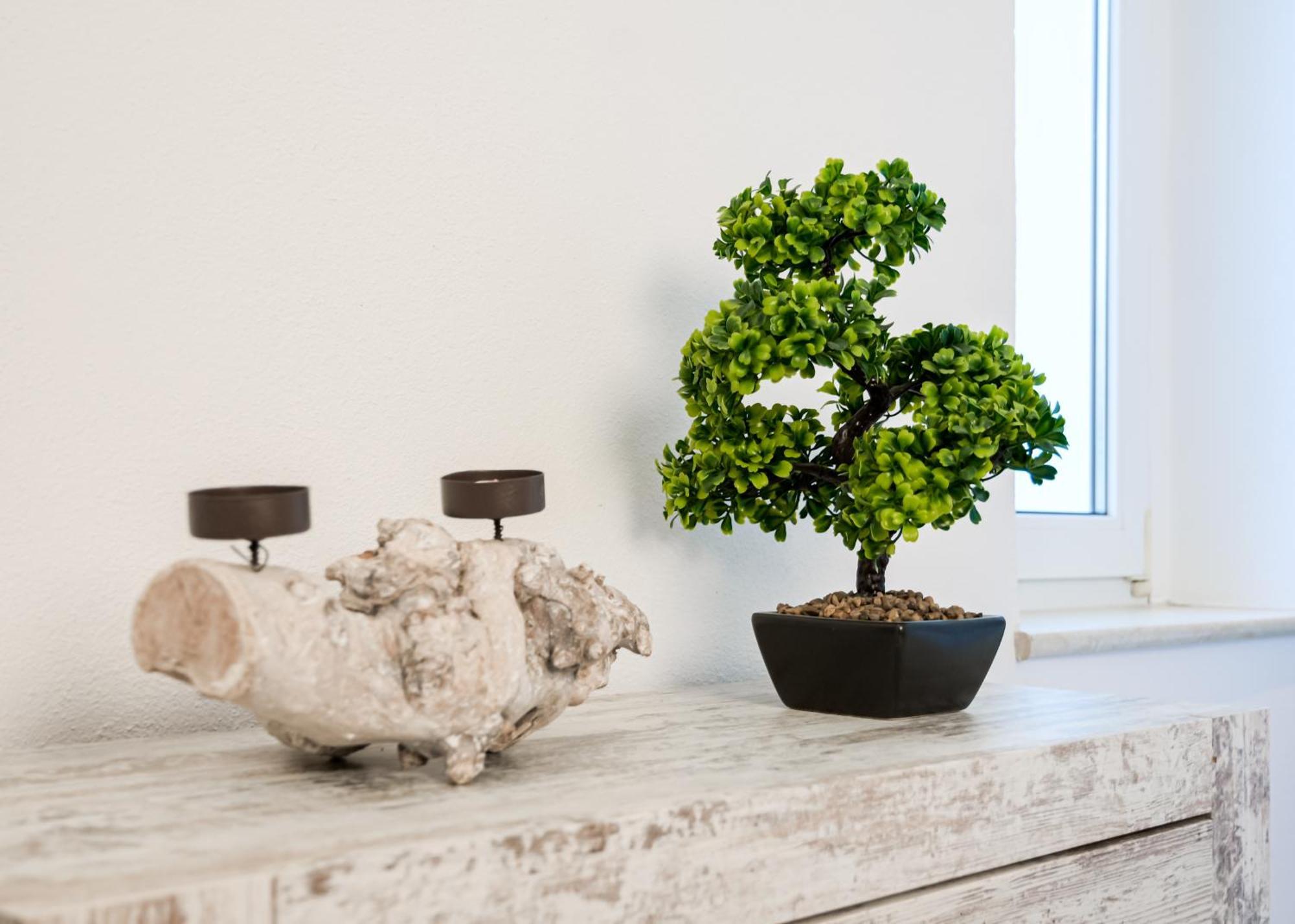 Apartmenthaus Rankestrasse 4 Δρέσδη Εξωτερικό φωτογραφία